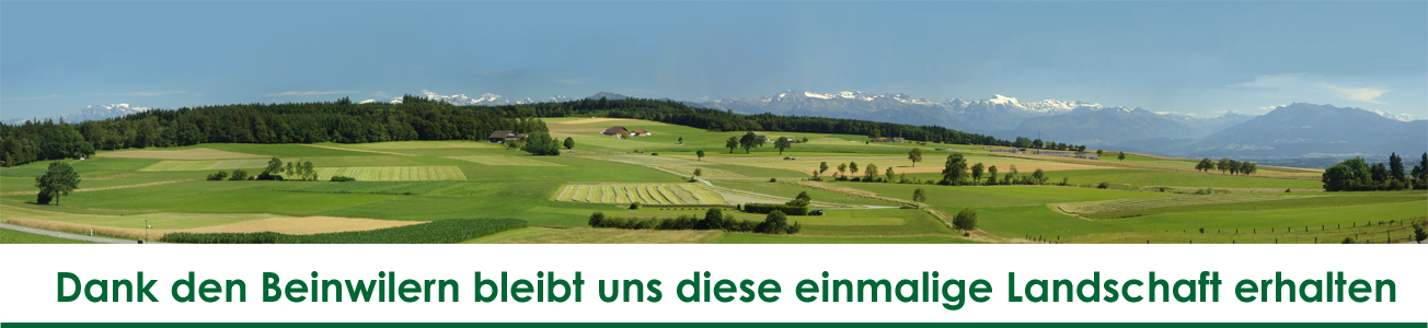 Verein 'Pro Lindenberg'...